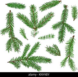 Einstellen der Fir Tree Branches auf weißem Hintergrund. Weihnachten, Neujahr Symbol. Stock Vektor