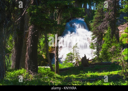 Dach fällt Kaskaden durch einen bewaldeten Wald in der Umgebung von Mt. Hood National Forest, einer der vielen beliebten Wanderziele im malerischen Staat Oregon. Stockfoto