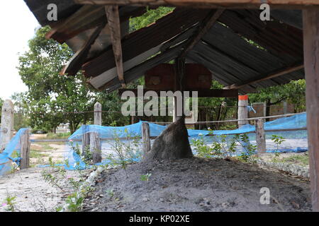 Im Schatten der Grenze casino ist von Pol Pot Verbrennungaufstellungsort. Unter seiner Führung die Khmer Rouge durchgeführten völkermord. Stockfoto