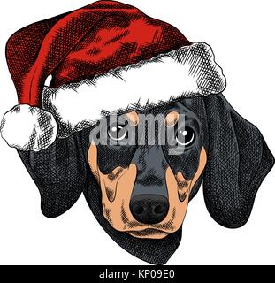 Vector Illustration eines Dackel Hund für eine Weihnachtskarte. Dackel in die rote Mütze von Santa Claus. Stock Vektor
