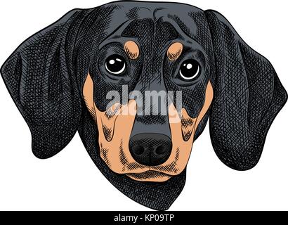 Vector Illustration eines Dackel Hund für eine Weihnachtskarte. Frohe Weihnachten im Jahr des Hundes Stock Vektor