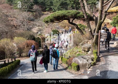 Die Bäume und das Gelände der Garten der in Gapyeong