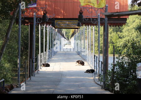Wat Khun Samut Jeen ist ein Tempel am Meer, dass der Boden im Inneren des Gebäudes aufgrund steigender Meeresspiegel angehoben hat, so ungewöhnlich kleine Türen. Stockfoto