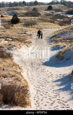 Ein paar Spaziergänge durch die Dünen am sandigen Neck Beach in Cambridge, MA (Cape Cod) an einem Winter, USA Stockfoto