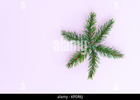 Weihnachtsbaum Zweig Stockfoto