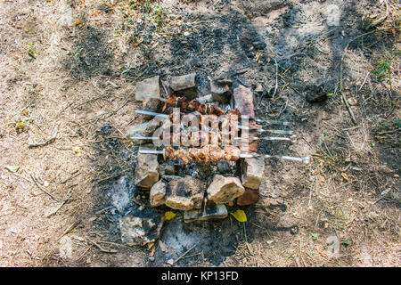 Shish Kebab frites Stücke Fleisch am Spieß und ein Feuer. Viel Schwein Fleisch am Spieß. Shish Kebab im Sommer im Wald Stockfoto