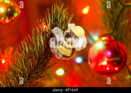 Koala souvenir Plüschtier Teddybär am Weihnachtsbaum als australische Innenraum Christbaumschmuck inspiriert. Stockfoto