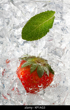 Pfefferminzblatt und Erdbeere auf Eiswürfel Stockfoto