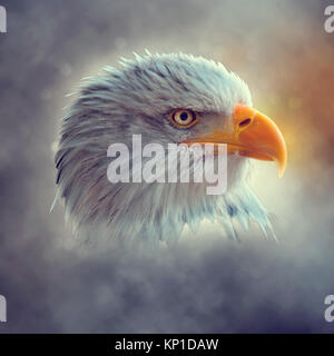 Digital Nahaufnahme Bild des Kopfes und des Wechsels ein Weißkopfseeadler (Haliaeetus leucocephalus) einem Nordamerikanischen Raubvogel verbesserte Stockfoto