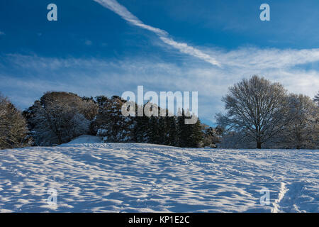 Winter Szenen in den Cotswolds Stockfoto