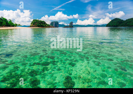 Coral unten können durch klare klares Meer Wasser gesehen, Tayland der Landschaft bei Krabi Resort. Stockfoto