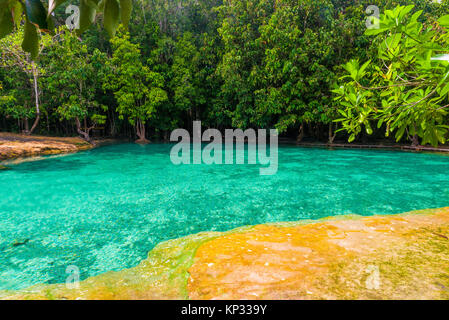 Emerald Pool ist im Dschungel von Krabi in Thailand - ein Wahrzeichen Land Stockfoto