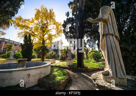 Rom. Italien. Leuchtend gelb Herbst Laub der Ginkgo biloba Baum in den Gärten der Villa Aldobrandini. Stockfoto