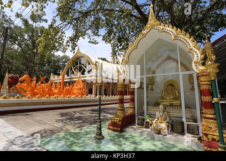 Ein Bienenstock der wilden Bienen können auf dem Gelände des Wat Phra That Nong Bua stupa gefunden werden. Stockfoto