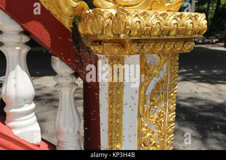 Ein Bienenstock der wilden Bienen können auf dem Gelände des Wat Phra That Nong Bua stupa gefunden werden. Stockfoto