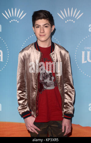 LOS ANGELES, Ca - Dezember 12: Mason Cook an Cirque du Soleil in Los Angeles Premiere bei "Luzia" im Dodger Stadium am 12 Dezember, 2017 in Los Angeles, Kalifornien. Quelle: David Edwards/MediaPunch Stockfoto