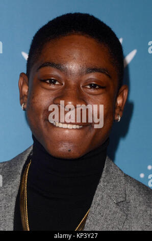 LOS ANGELES, Ca - Dezember 12: RJ Cyler bei Cirque du Soleil in Los Angeles Premiere bei "Luzia" im Dodger Stadium am 12 Dezember, 2017 in Los Angeles, Kalifornien. Quelle: David Edwards/MediaPunch Stockfoto