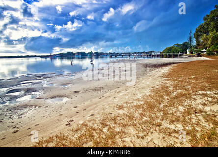 Yamba Nsw mit Pelikane am Flussstrand Stockfoto