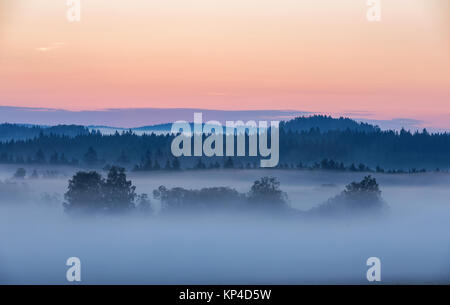 Sommer Landschaft im Nebel, Sumava, Tschechische Republik. Morgen Nebel in Sumava, Südböhmen Landschaft Stockfoto