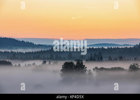 Sommer Landschaft im Nebel, Sumava, Tschechische Republik. Morgen Nebel in Sumava, Südböhmen Landschaft Stockfoto