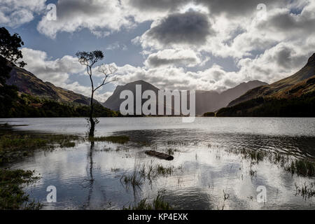 Buttermere einsamer Baum mit Sonnenstrahlen durch die Wolken Stockfoto