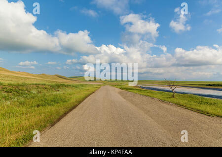 Lonely trockenen Baum in der Nähe der Straße in der Nähe eines ausgetrockneten Sees. Eine schöne Landschaft mit einer Straße, blauer Himmel, weiße Bettwäsche, trockenes Holz, und ein ausgetrockneter See. Stockfoto