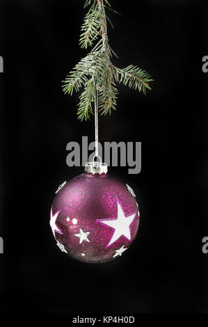 Lila Weihnachtskugel mit Sternen hängen von einem Schnee bestäubt Nadelbaum Zweig vor einem schwarzen Hintergrund Stockfoto