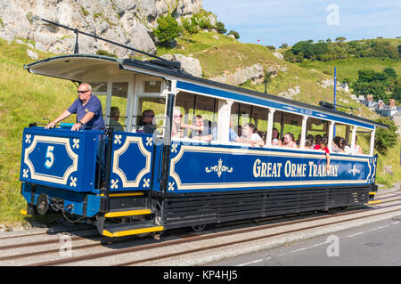 Great orme Tramway llandudno wales Llandudno Zug der Great orme Tramway fährt die große Orme Landzunge Llandudno gwynedd wales North wales uk hinauf Stockfoto