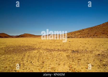 Gelbe Gras Landschaft im Damaraland Namibia Stockfoto