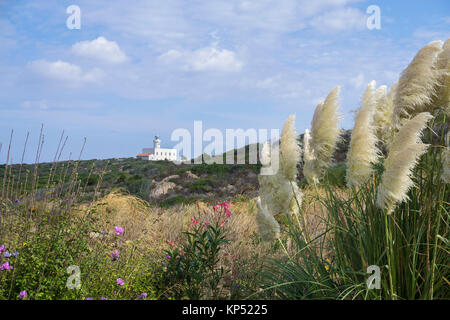 Pampas Gras (Cortaderia selloana) und Leuchtturm, Capo Ferro, Costa Smeralda, Sardinien, Italien, Mittelmeer, Europa Stockfoto