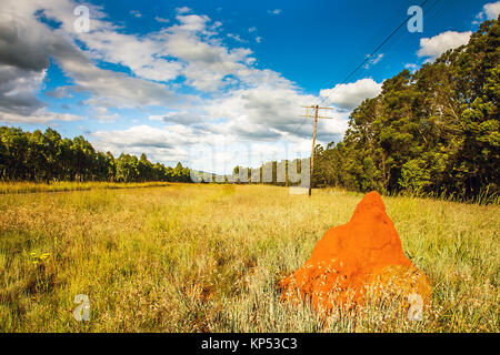 Red Termite Hill irgendwo in Südafrika Stockfoto