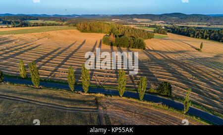 Luftaufnahme von Outdoor Landschaften, eine Reihe von Bäumen werfen lange Schatten, einen Ballon fliegen weg. Sommerabend auf den ländlichen Raum. Stockfoto