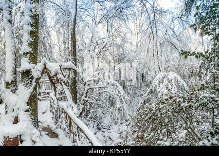 11 Dezember 2017, 16:00 Uhr: Winter Schnee den Boden Abdeckung an Puzzlewood im Wald. Sogar auf einen Film eingestellt, die Tiere noch füttern müssen. Stockfoto