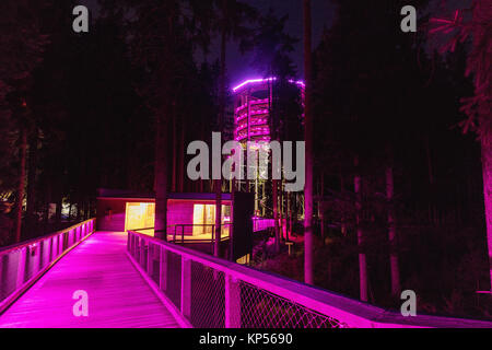 Treetop Gehweg in Lipno, Sightseeing Trail in Baumkronen. Holzkonstruktion mit einer Rutsche für die Kinder in der Mitte. Touristischer Ort und einzigartige Co Stockfoto