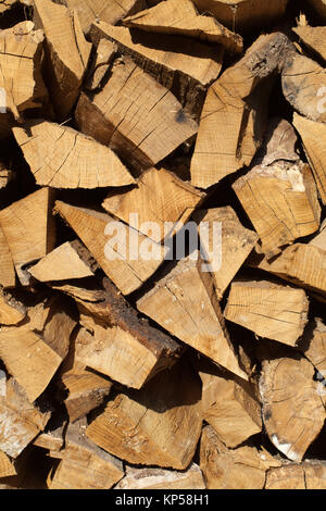 Stapel von Brennholz für den Winter vorbereitet Stockfoto