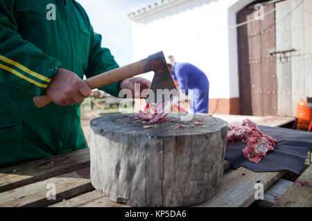 Schneiden von Fleisch und Knochen Stockfoto