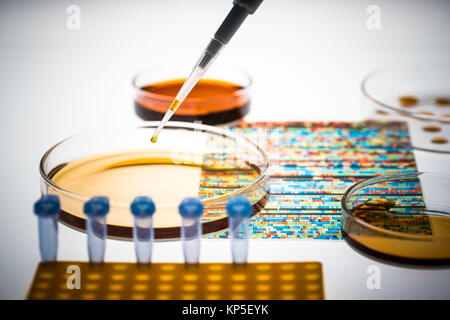 Die genetische Forschung, konzeptionelle Bild, DNA (Desoxyribonukleinsäure) autoradiogram und Petrischalen. Stockfoto