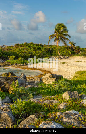 Einsamen Strand | Tulúm | Mexiko Stockfoto