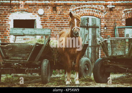 Einen alten Pferdestall, Vintage Foto Stockfoto