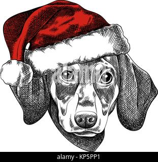 Vector Illustration eines Dackel Hund für eine Weihnachtskarte. Dackel in die rote Mütze von Santa Claus. Stock Vektor