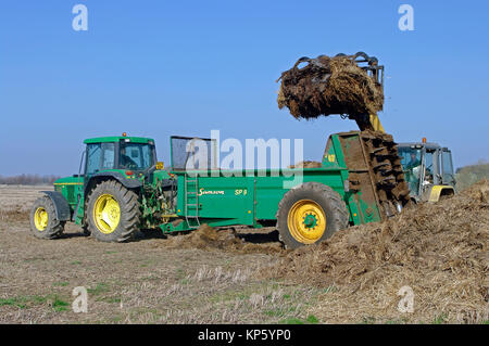 John Deere 6800 Traktor und Miststreuer Stockfoto