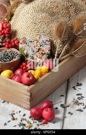 Bird Buffet Bestandteile einschließlich Holzäpfel, Sonnenblumenkerne, Karde, holzbär Beeren und eine suet Kuchen in einem Holz- Fach gesammelt Stockfoto