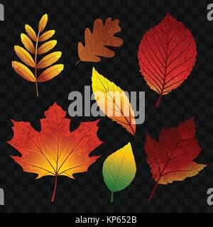 Blätter im Herbst - moderne Vektor realistische isolierten clip art Stock Vektor