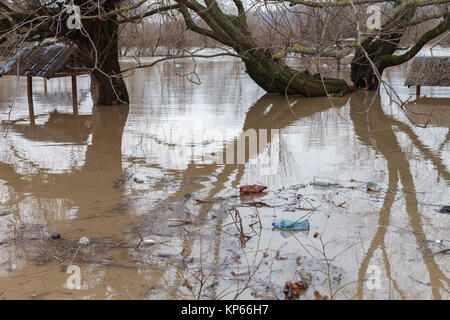 Der Fluss nach dem Unwetter kam aus der Banken. Überschwemmung Ufer, Bäume nach Hochwasser Stockfoto