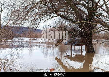 Der Fluss nach dem Unwetter kam aus der Banken. Überschwemmung Ufer, Bäume nach Hochwasser Stockfoto