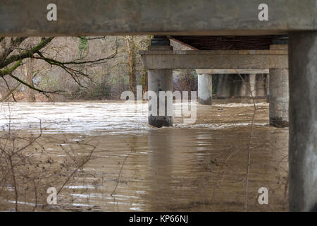 Der Fluss nach dem Unwetter kam aus der Banken. Überschwemmung Ufer, Bäume nach Hochwasser Stockfoto