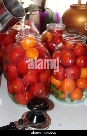 Tomaten in den Gläsern für Bewahrung vorbereitet Stockfoto