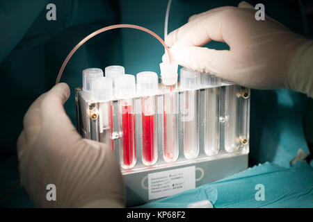 Technik der assistierten Reproduktion Stockfoto