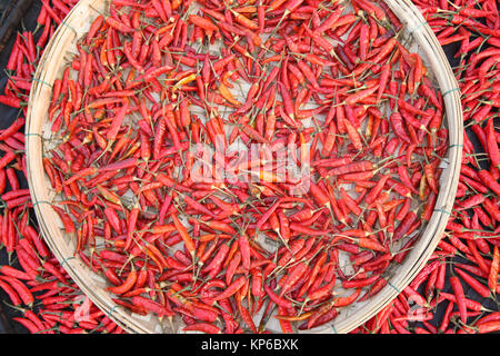 Red chili peppers. Hoi An. Vietnam. Stockfoto