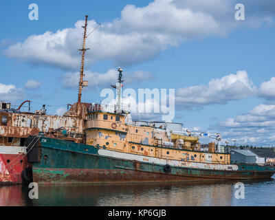 Verlassene Schiffe, Marie Joseph, Nova Scotia, Kanada. Stockfoto